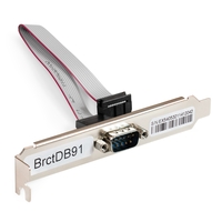 BrctDB91